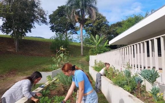 UPR Utuado lanza campaña destacando su posición como la universidad de los agroempresarios