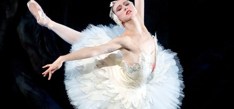Isabella Boylston será la bailarina de “El Lago de los Cisnes” este fin de semana en Puerto Rico