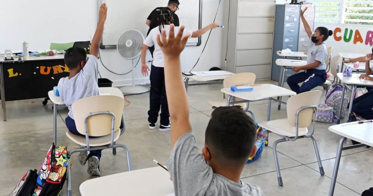 Dan paso a proyecto Proyecto de Ley para incentivar la educación en Vieques y Culebra