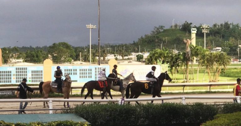 Identifican a sexagenario que murió tras ser arrollado en pista del Hipódromo Camarero