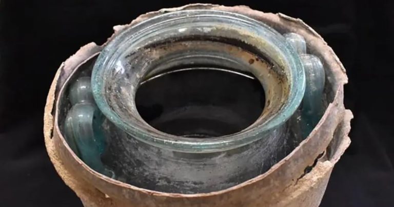 Estudio revela que el vino más antiguo jamás descubierto contiene un horrible ingrediente secreto