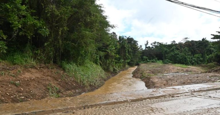 Reportan daños y fallas en el servicio eléctrico en Vega Alta tras paso de Ernesto