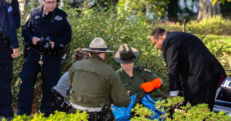 Robert F. Kennedy Jr. dice que dejó un oso muerto en Central Park en son de broma