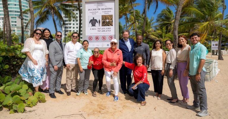 Instalan letreros en playas de Condado y Ocean Park para proteger a los tinglares
