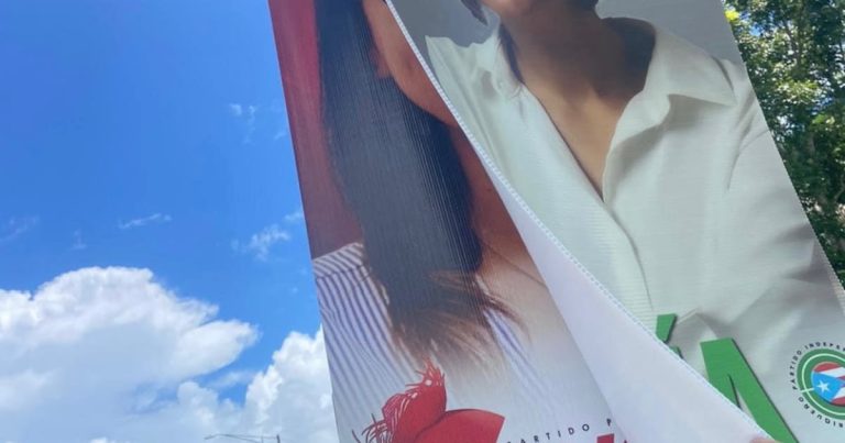 Candidata del PPD denuncia vandalismo a su propaganda electoral en Morovis