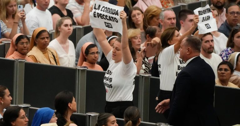 Manifestantes de PETA interrumpen una audiencia del papa: “Las corridas son pecado”