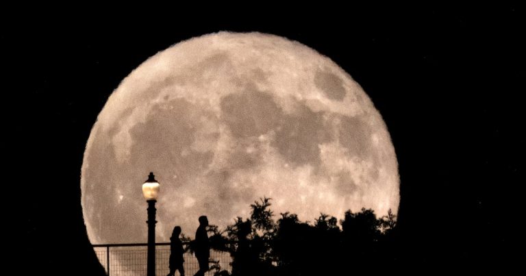 Fotos: La superluna que deslumbró a todo el mundo