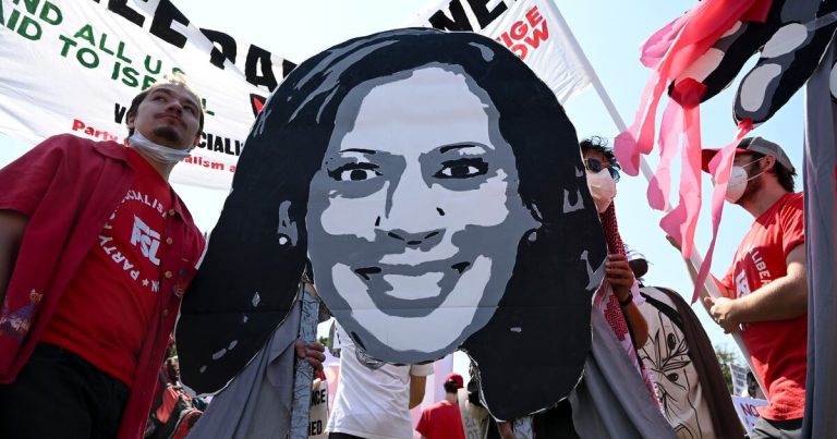 Policía coloca vallas adicionales en el segundo día de protestas por la convención demócrata en Chicago