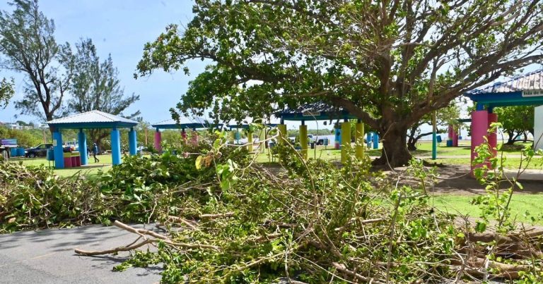 Gobierno asegura que 78% de los abonados de la AAA tienen agua y 20 personas siguen refugiadas tras paso de Ernesto