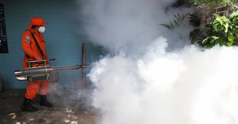 Sube a 7 el número de niños fallecidos por dengue en El Salvador, que sigue en alerta roja
