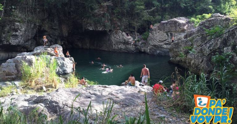 Autoridades reportan vandalismo en el área natural protegida Toro negro en Ciales