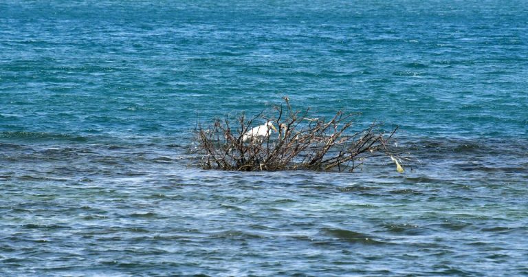 Encuentran cuerpo sin vida en playa del Viejo San Juan