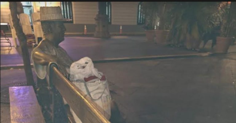 Fianza de $30 mil contra hombre que le arrancó la paloma a la estatua de “Tite” Curet