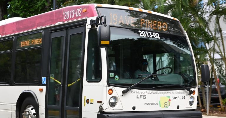 Denuncian que paralización de las guaguas de la AMA podría tratarse de un intento de privatización