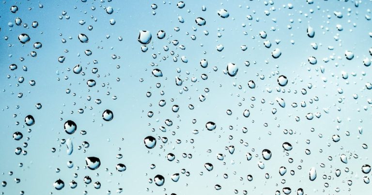 Alcalde de Vieques reporta carreteras intransitables y árboles caídos tras paso tormenta Ernesto