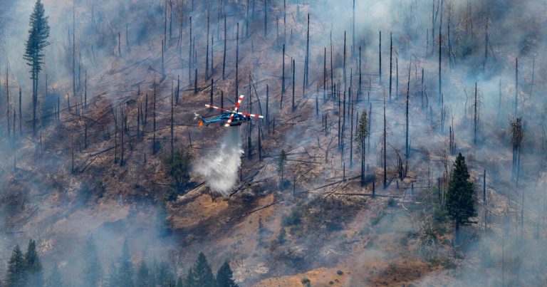 Bomberos luchan contra enorme incendio forestal en California