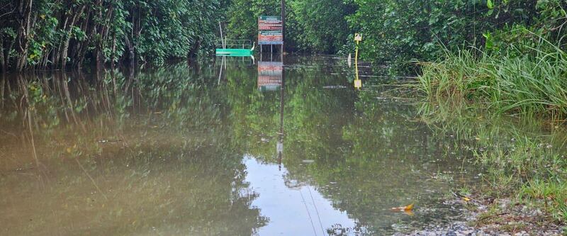 Inundaciones en el Refugio de Vida Silvestre de Boquerón