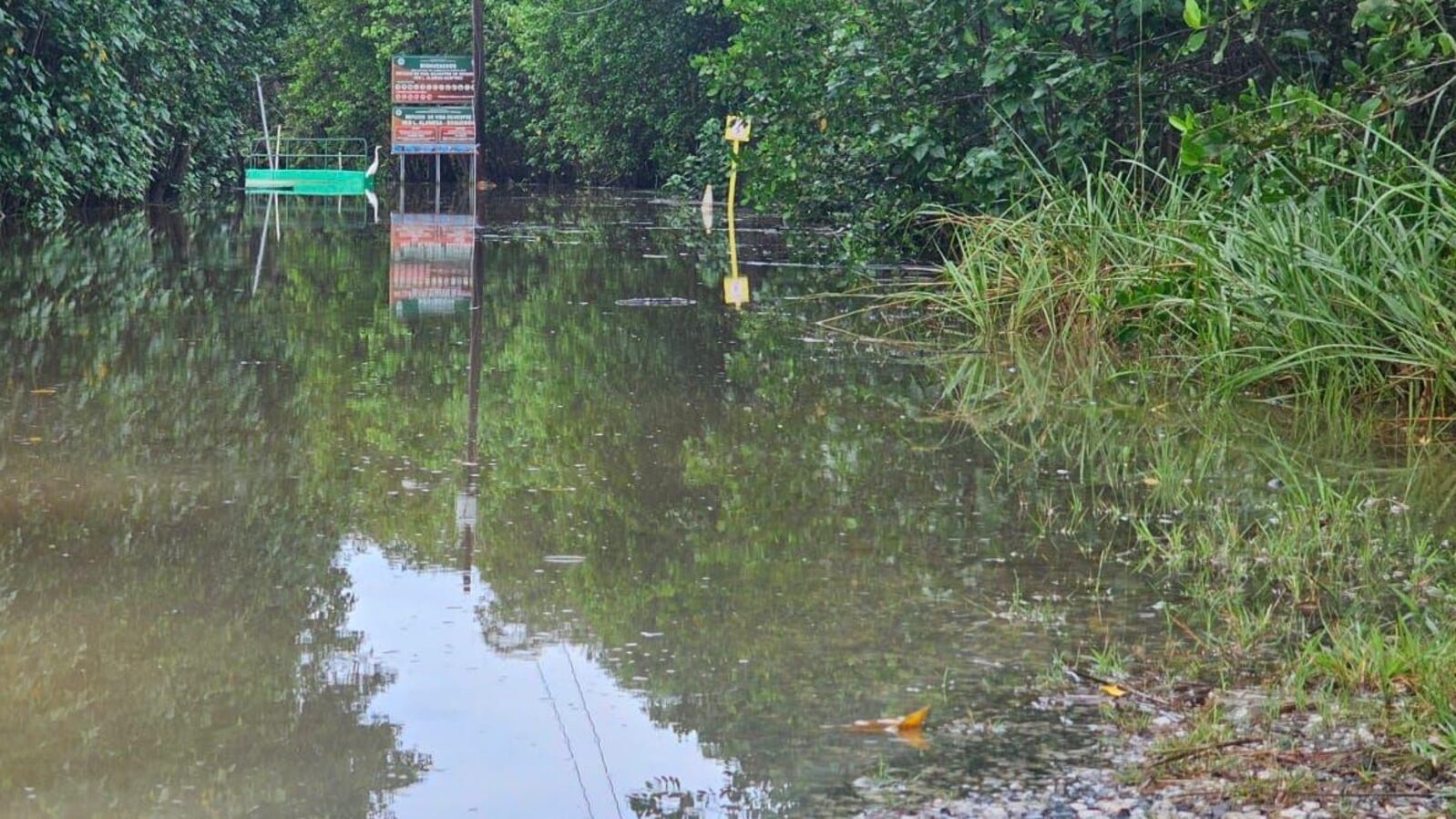 Inundaciones en el Refugio de Vida Silvestre de Boquerón