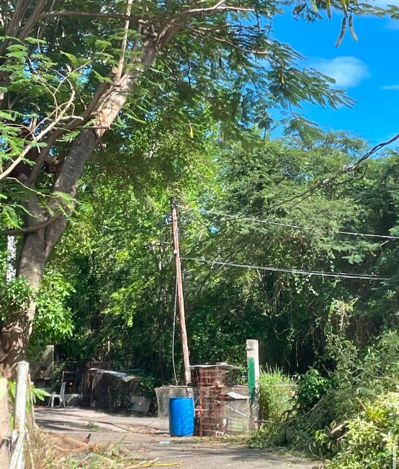 Barrio Tallaboa Saliente, en Peñuelas