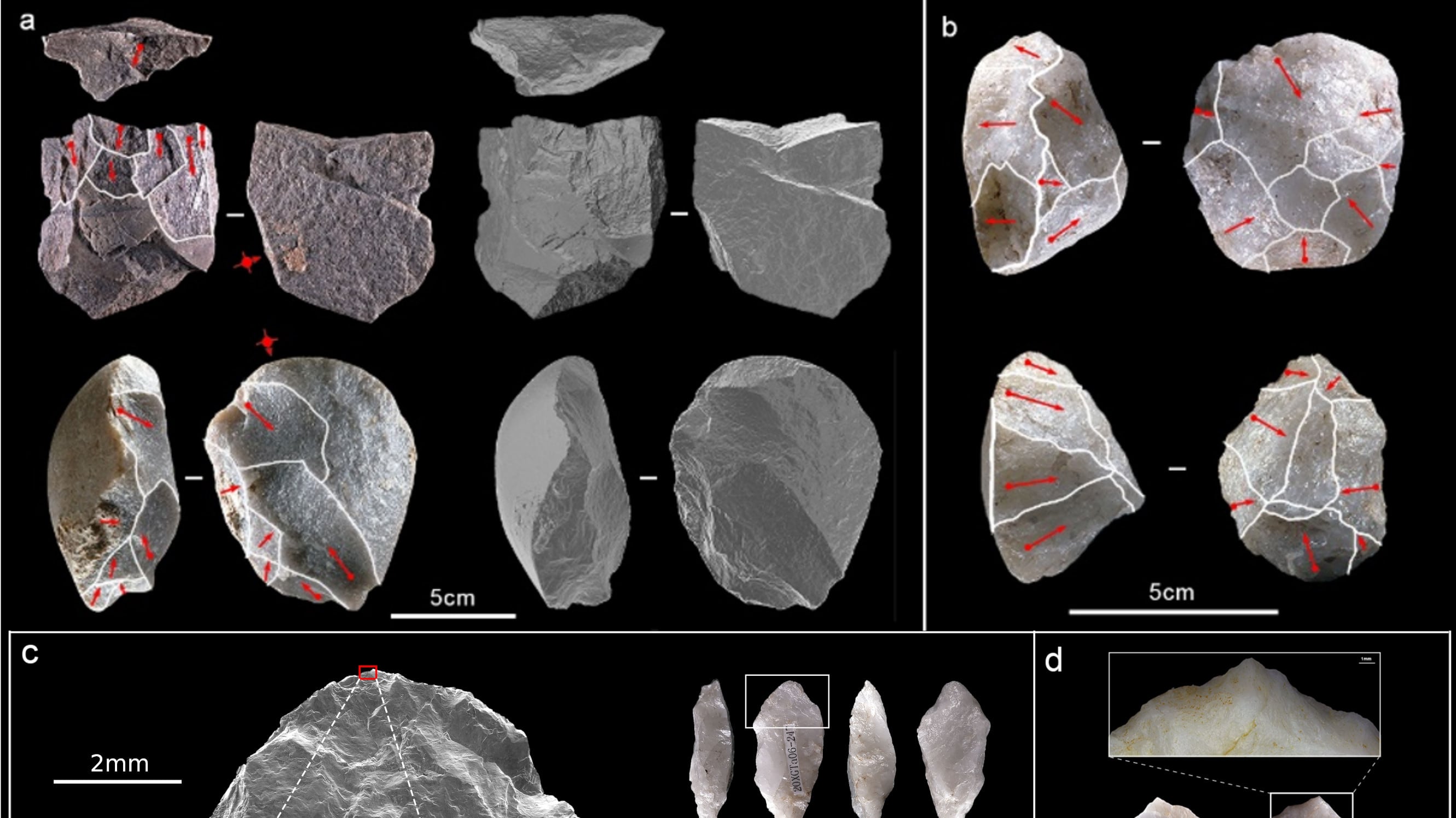Descubren en China las herramientas de piedra enmangadas más antiguas de Asia oriental. En la imagen, (a) núcleos sobre lasca; (b) núcleos discoides; (c) parte activa de un perforador enmangado, con huellas de uso; y (d) perforadores con dorso rebajado. Crédito:: IVPP-IPHES-CERCA.