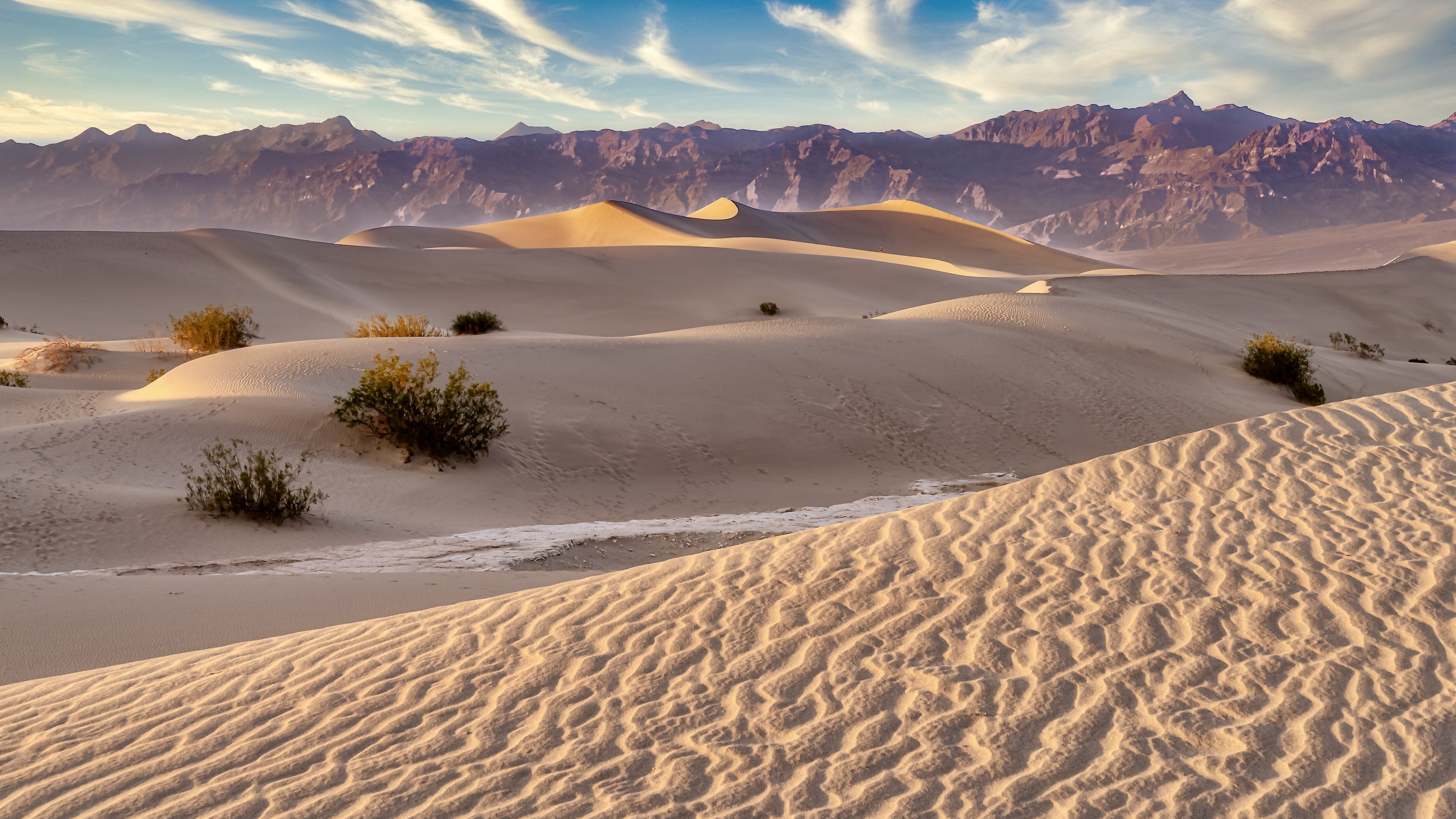 Un desierto es un paisaje bioclimático que puede ser cálido o helado y que se caracteriza por tener bajos índices de precipitación, un clima seco, temperaturas extremas y un suelo árido. Foto: Freepik.
