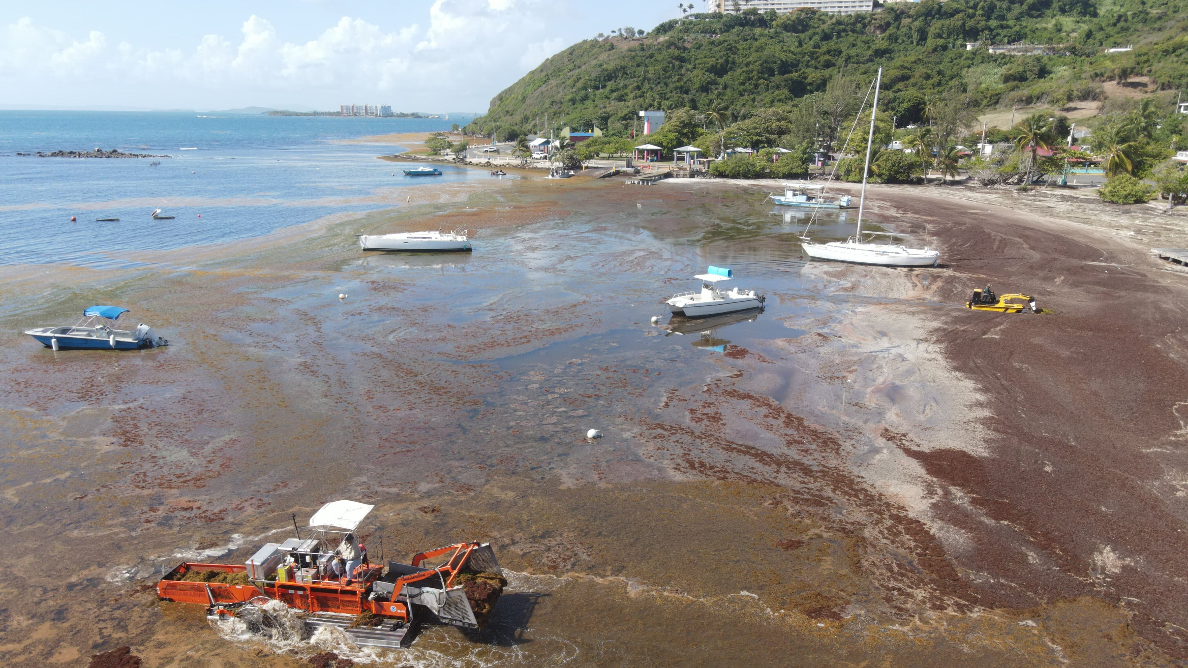 Remoción de sargazo en el área de Las Croabas, en Fajardo, por parte del Departamento de Recursos Naturales y Ambientales.