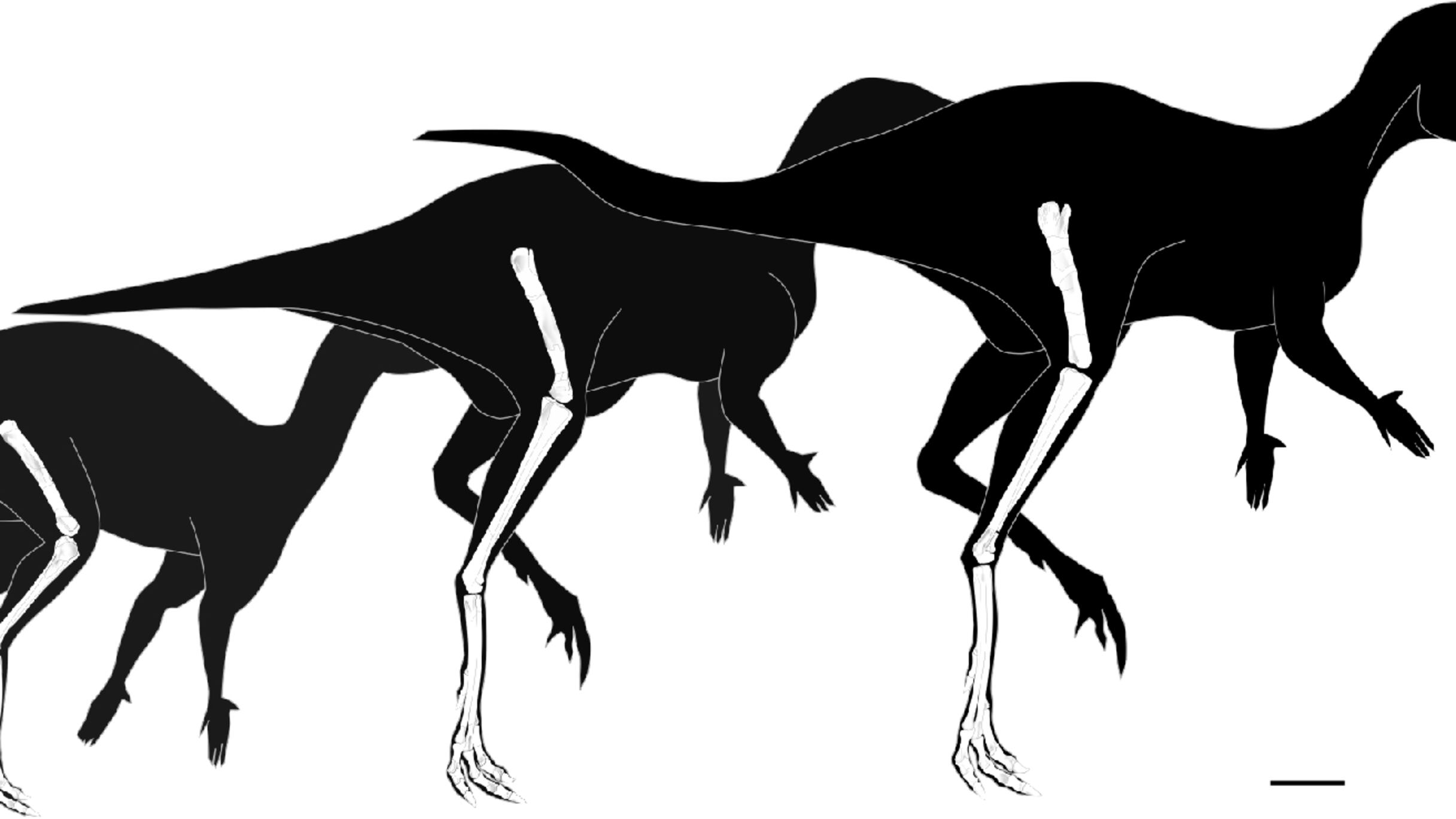 Descubren el dinosaurio ornitópodo más pequeño del mundo