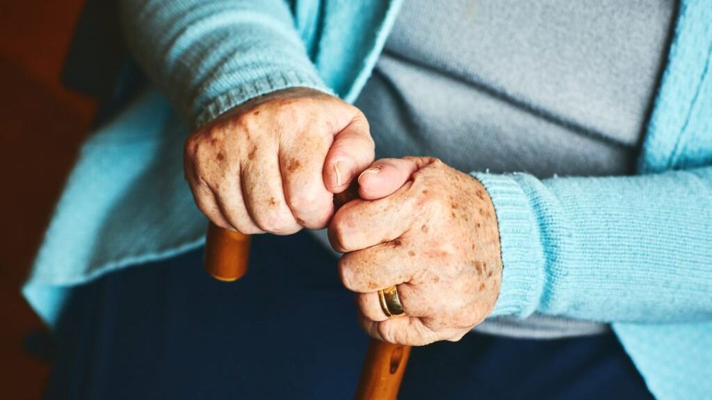 Proponen penalizar amenazas o maltrato a mascotas para manipular a envejecientes