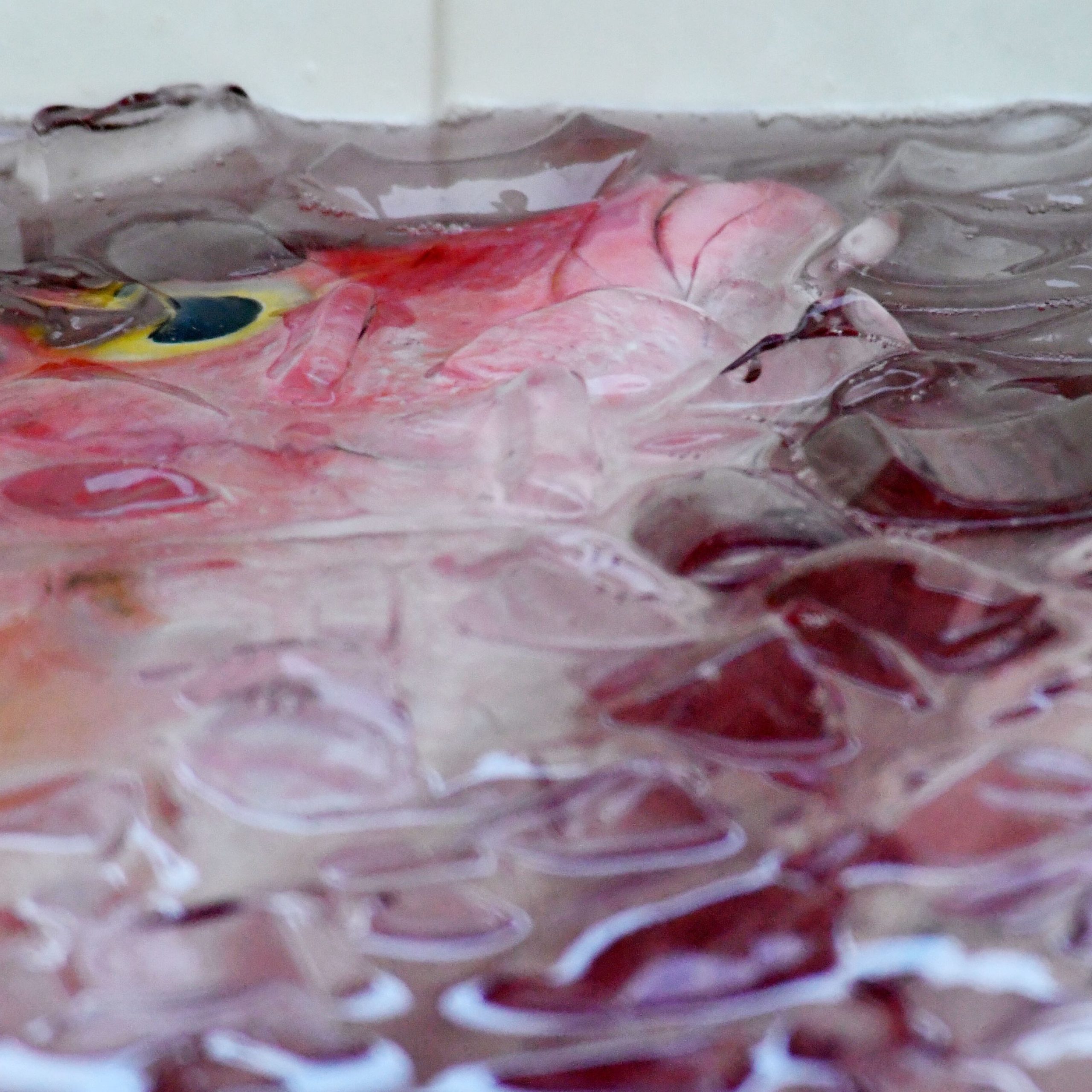 Mercado de mariscos y productos agrícolas en San Juan