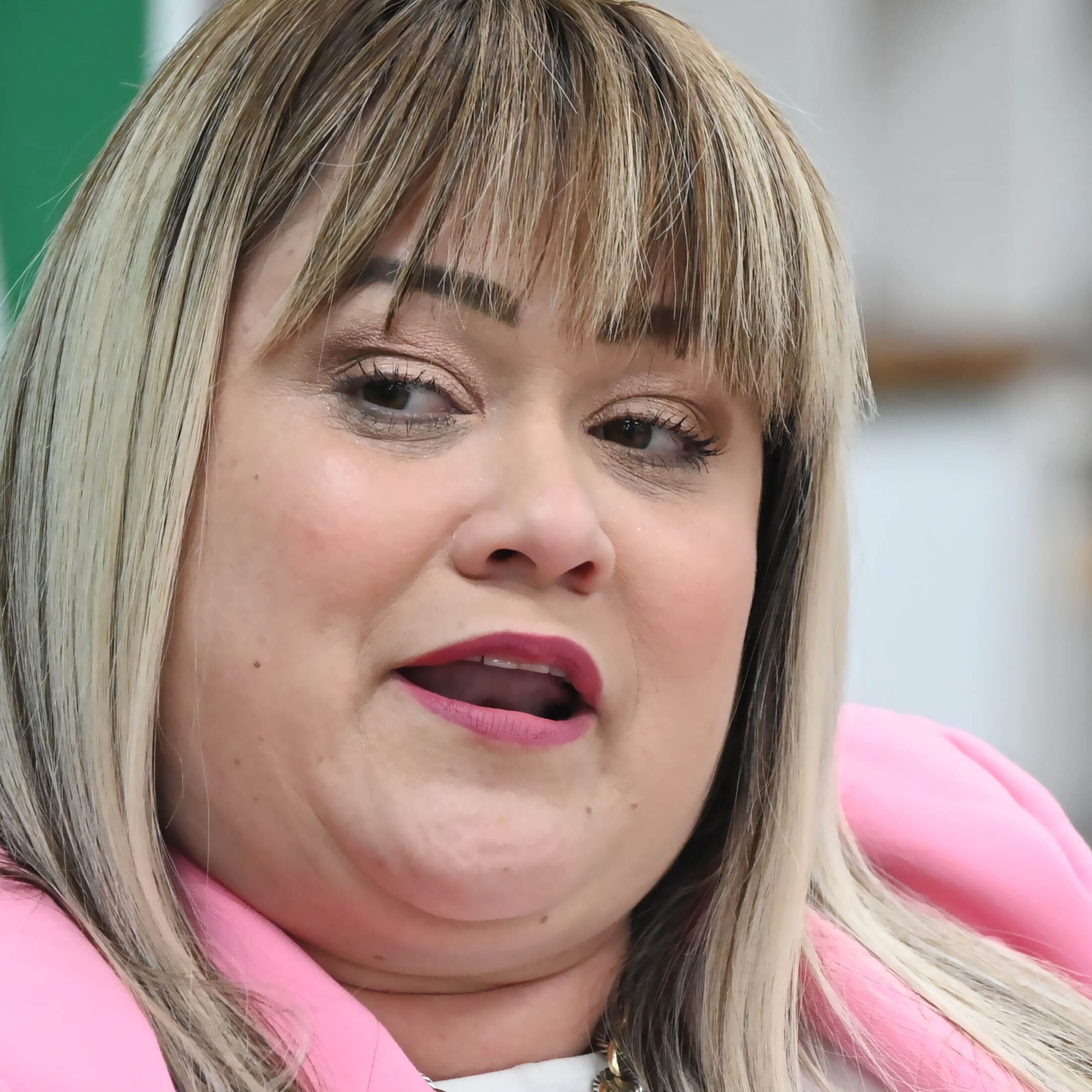 Padre y hermano de la secretaria de Vivienda se excusan de vista en la Cámara baja