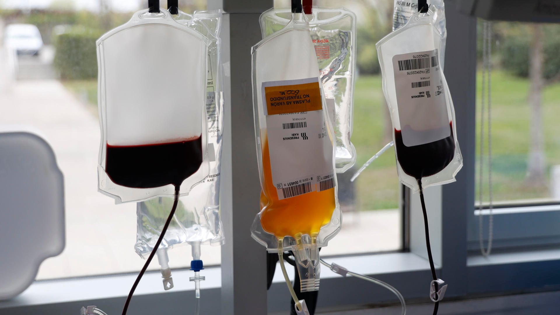 Australia amplía criterios para donar sangre e incluye a más personas LGTBI+